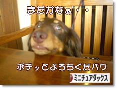 ˤ֥ۤ¼ ֥ ߥ˥奢åեɤ