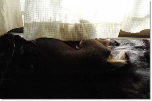 souther_20100129i