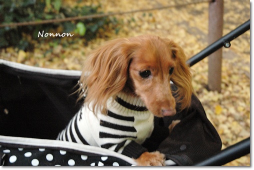 souther_20091121a