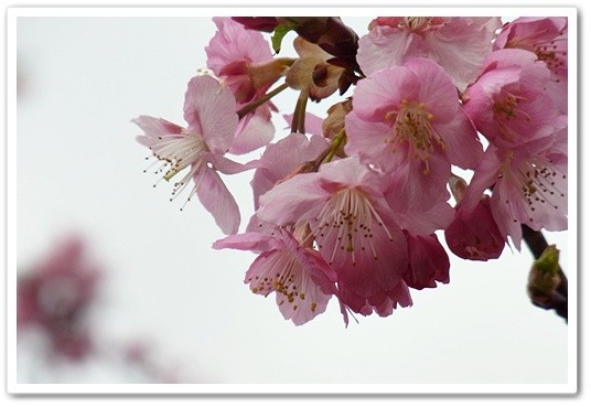 souther_20120331h