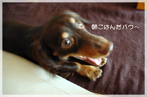 souther_20091109i