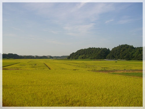 souther_20090831d