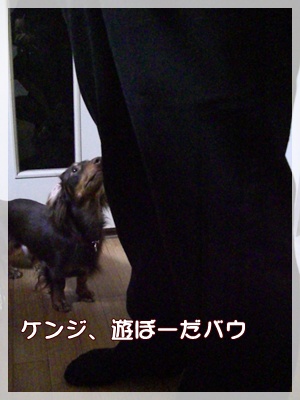souther_20090731i