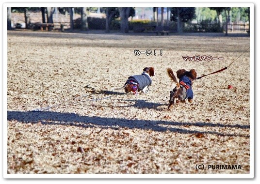 souther_20120317f