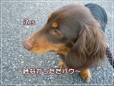 souther_20090225i
