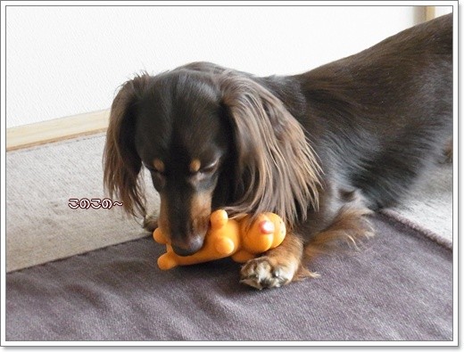 souther_20111113d