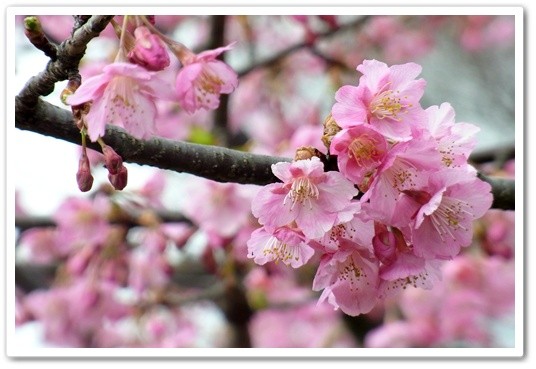 souther_20120331i