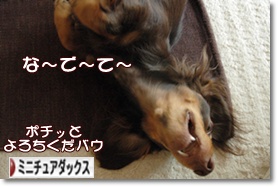 �ˤۤ�֥���¼ ���֥��� �ߥ˥��奢���å����ե�ɤ�