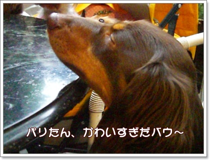 souther_20090611h