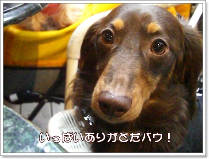 souther_20090611m