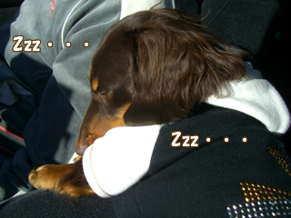 souther_20081124d