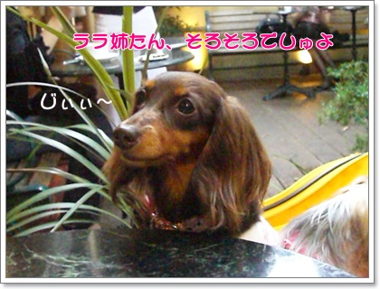 souther_20090611g