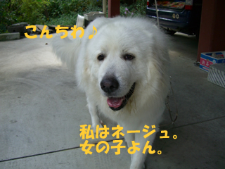 souther_20081106j