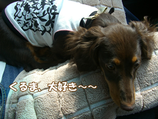 souther_20081115f
