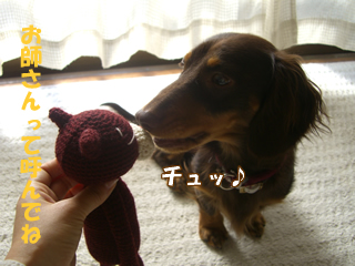 souther_20081229d