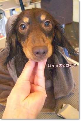 20110328a