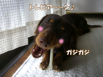 souther_20090115d