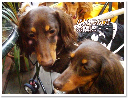 souther_20090611c