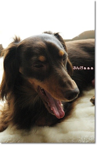 souther_20110530i
