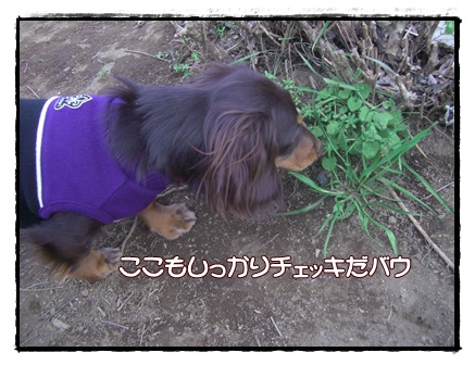 souther_20090331c