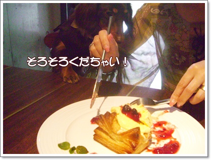 souther_20090329h