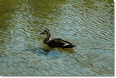 souther_20101023d
