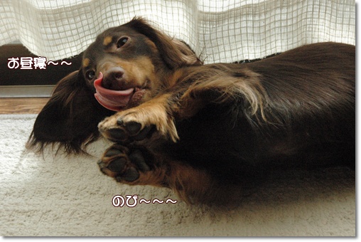 souther_20091208d