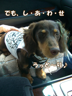 souther_20081115g