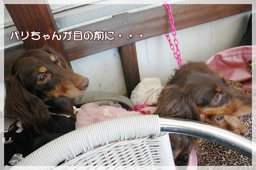 souther_20091031e