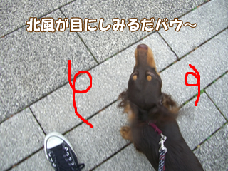 souther_20081112g
