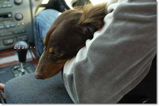 souther_20100502h