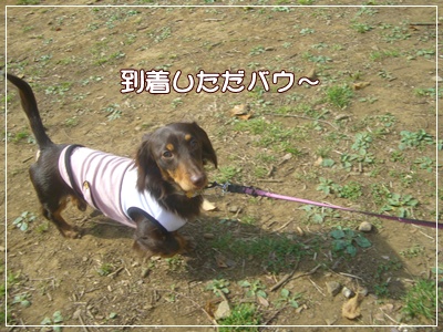 souther_20090409a