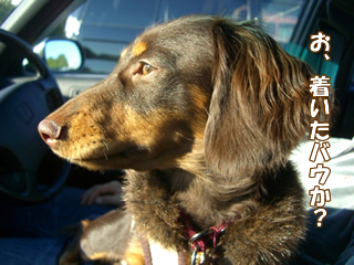 souther_20081201b