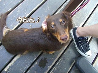 souther_20081230e