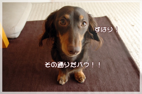 souther_20091021f