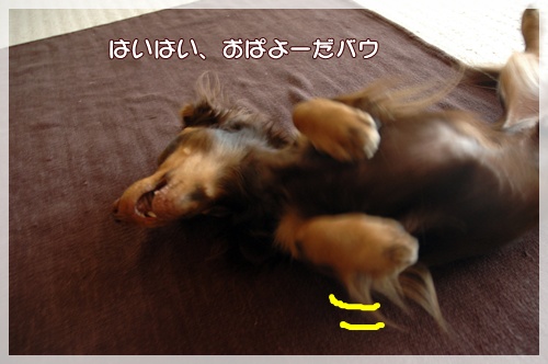 souther_20091109a