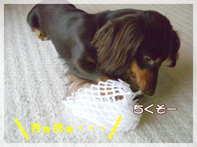 souther_20090630c
