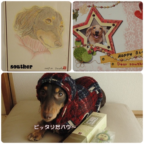 souther_20091222h