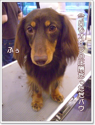 souther_20090617d