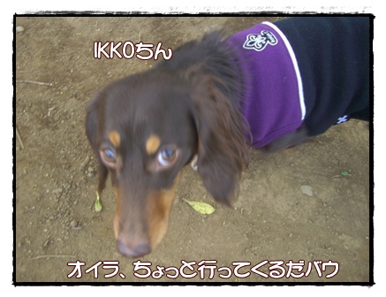 souther_20090331h