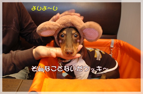 souther_20091024e