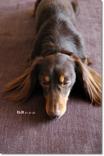 souther_20110519i