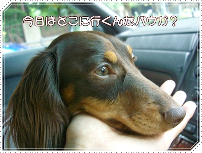 souther_20090707a