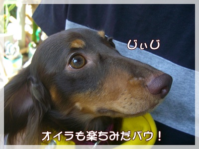 souther_20090831i