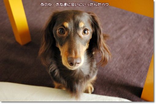 souther_20101109a