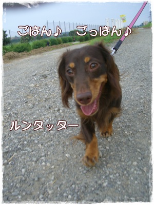 souther_20090706j