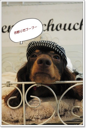 souther_20110804g