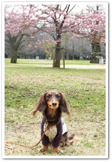 souther_20120331m
