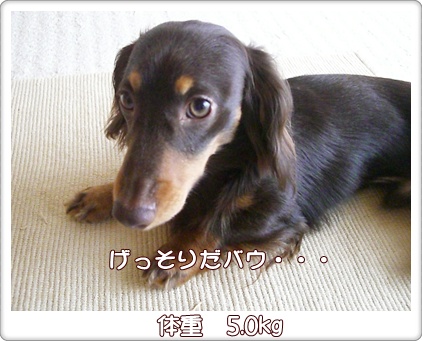 souther_20090604k