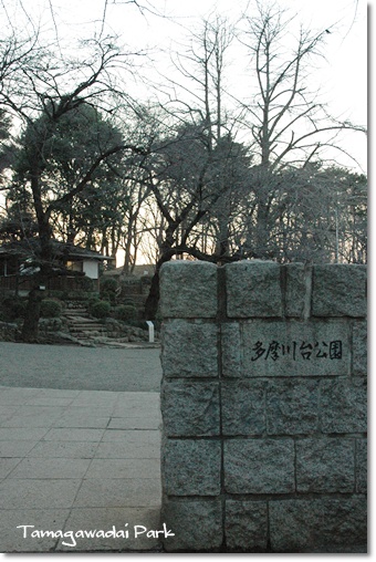 souther_20100221b